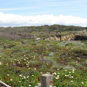 Wandeltochten in Portugal