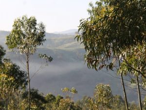 Vakantie-in-Portugal-Monte do Casarao